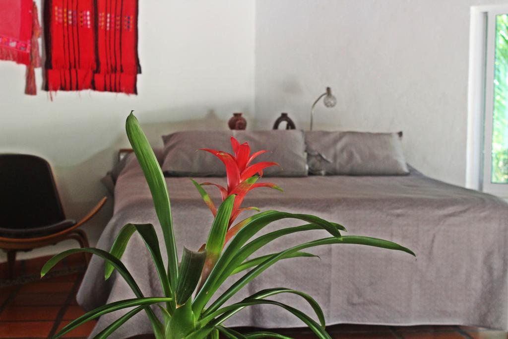 Hotel Que Onda Akumal Eksteriør billede